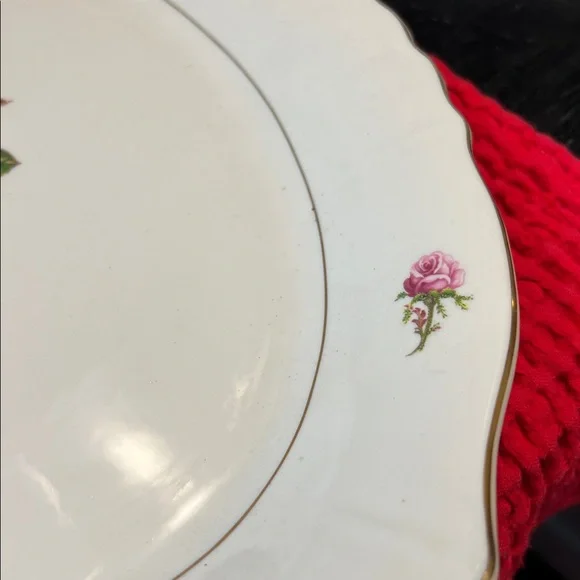 Vintage Platter Victoria Rose Pattern by Syracuse China - Picture 9 of 12